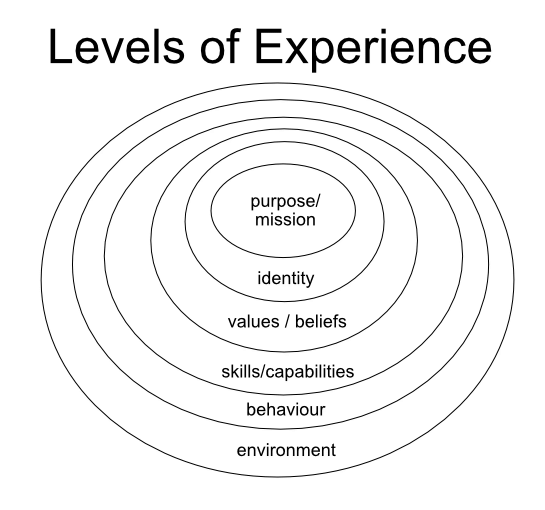 levels of experience